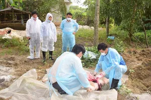 Dịch tả heo châu Phi lây lan nhanh