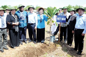 Chủ tịch Quốc hội Nguyễn Thị Kim Ngân cùng các đại biểu tại công viên Rừng Sác, Cần Giờ. Ảnh: HỒ LONG