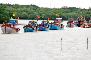 Khai thác thủy hải sản gắn liền với bảo tồn biển