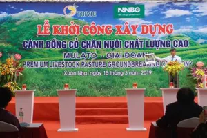 Khởi công dự án cánh đồng cỏ chăn nuôi chất lượng cao. Ảnh: Bích Hồng/BNEWS/TTXVN