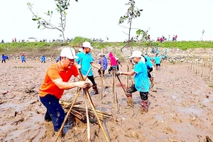 Ra quân làm sạch môi trường bãi biển