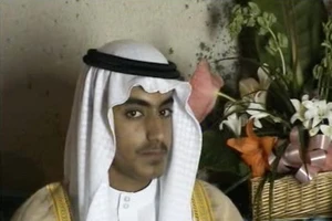 Hamza bin Laden