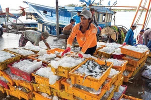 Thủy sản tại cảng Cát Lở (phường 11, TP Vũng Tàu) ​