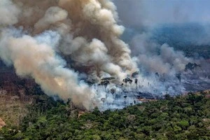 Australia: Nguy cơ nắng nóng và cháy rừng trầm trọng