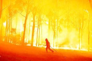 Cháy rừng tại bang New South Wales