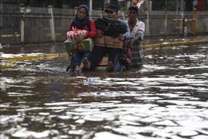 Mưa lũ hoành hành Indonesia 