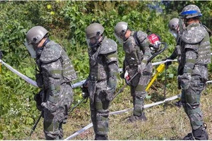 Các binh sỹ Hàn Quốc dò mìn trong Khu phi quân sự. Ảnh: Reuters