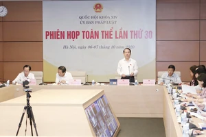 Chủ nhiệm Ủy ban Pháp luật của Quốc hội Hoàng Thanh Tùng phát biểu tại phiên họp. Ảnh: TTXVN