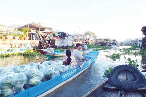 Tròng trành chợ nổi - Bài 1: Nhọc nhằn kiếp thương hồ