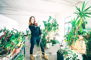 Virkete phát hiện rất nhiều người tặng cây vì đủ loại lý do khác nhau