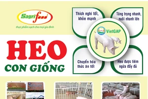 Chọn con giống tốt giảm thiểu rủi ro từ đơn vị lâu năm