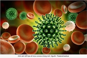 Phát hiện biến chủng mới của virus Sars-CoV-2