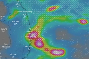 Áp thấp nhiệt đới di chuyển theo hướng Tây Tây Bắc, các tỉnh miền Trung có mưa to đến rất to