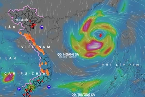 Chiều 12-10, bão số 8 vẫn di chuyển nhanh theo hướng Tây, giật cấp 13