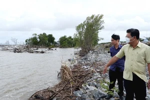 Cà Mau: Xuất hiện 7 vị trí sạt lở đặc biệt nghiêm trọng