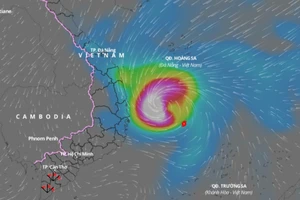 Bão số 9 giật cấp 17, cách Bình Định - Phú Yên khoảng 200km