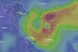 Bão số 9 di chuyển theo hướng Bắc Đông Bắc, suy yếu dần thành áp thấp nhiệt đới