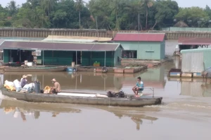 Bình yên làng cá Tân Mai