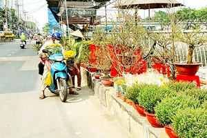 Đường phố ngập tràn sắc màu ngày tết