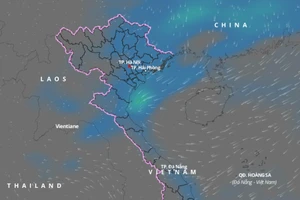 Trong ngày và đêm 13-2, Bắc Bộ có mưa, mưa rào và có nơi có dông, cục bộ có mưa vừa, mưa to. Ảnh: vndms