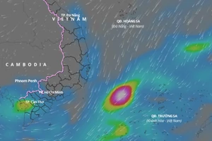 Ngày 6-4, Nam Trung Bộ, Tây Nguyên và Nam Bộ mưa dông, đề phòng khả năng xảy ra lốc, sét, mưa đá và gió giật mạnh. Ảnh: vndms