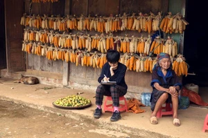 Lê Cát Trọng Lý với hành trình đi tìm những khúc ca của các dân tộc