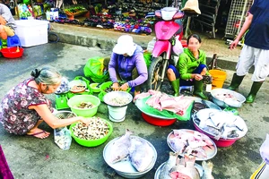 An toàn thực phẩm dịp cuối năm: Đến hẹn lại... lo