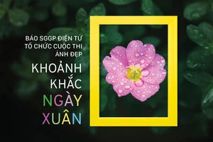 Công bố giải cuộc thi ảnh Khoảnh khắc ngày xuân của Báo SGGP Điện tử