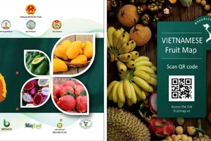 Trái cây Việt Nam hiện diện lần đầu tại Macfrut 2021 ngay sau khi Italy vừa mở cửa trở lại