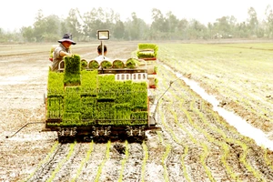 Miền Tây lo ứng phó El Nino