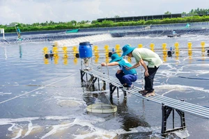 Nông dân miền Tây tiếp cận công nghệ AI - Bài 3: AI nuôi tôm siêu thâm canh