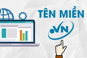 Gần 19.000 tên miền “.vn” được chuyển nhượng quyền sử dụng