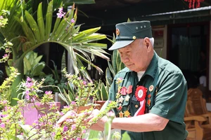 “Cây đại thụ” trong cộng đồng