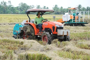 Kỳ vọng những ruộng lúa chất lượng cao đầu tiên ở miền Tây