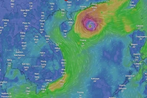 Bão số 7 tiến về vùng biển ven bờ các tỉnh Trung và Nam Trung Bộ với cường độ giảm dần