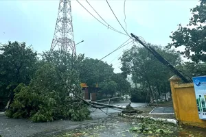 Bão số 5 vào đất liền từ Nghệ An đến Hà Tĩnh