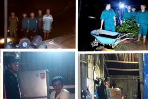 Phường Phú An, Tây Nam (TPHCM): Trắng đêm ứng phó với triều cường