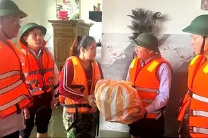 Kết luận của Bộ Chính trị về khắc phục hậu quả do bão số 12 và mưa, lũ gây ra