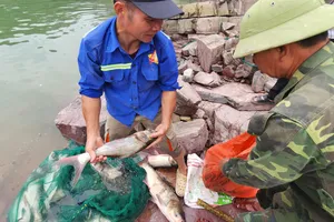 Người dân phấn khởi đánh bắt được con cá mè lớn ở hạ du hồ Kẻ Gỗ 