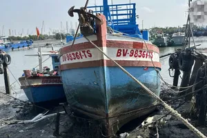 Tàu cá không đủ điều kiện 