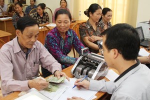 Each farmer is loaned up to VND 24.49 million from Vietnam Bank for Scial Policies