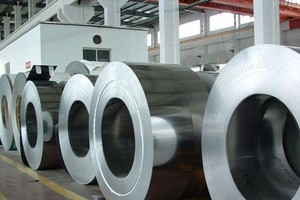 TNI issues 31.5million shares