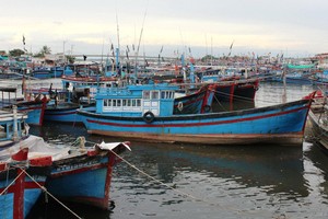 Fishing vessels dock on the Dong Hai port in Phan Rang City (Photo: Minh Tran