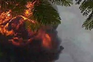 Fire destroys 1,000 sq meter wood processing workshop in Binh Duong 