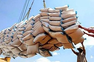 Nationwide rice exports hit 1.36mln tons
