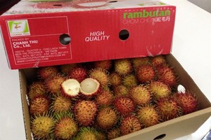 Việt Nam are set to begin exporting rambutans to New Zealand after years of trade negotiations between the two countries.— Photo gocom.vn 