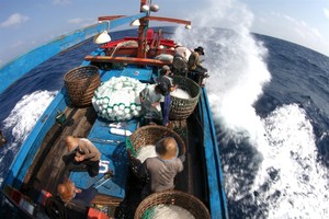 Vietnamese fishermen on an offshore fishing trip. — VNA/VNS Photo Xuân Trường