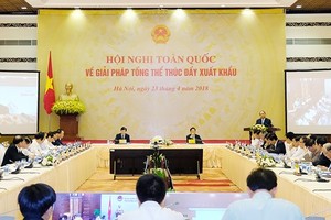 At the online conference -Photo: SGGP