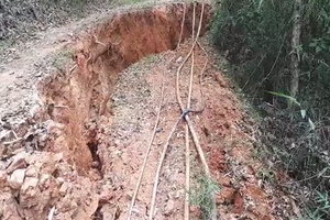 Nghe An: 5 households moved due to landslide