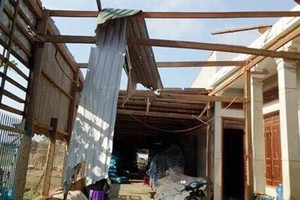 Whirlwind hits Dak Lak province, one dead